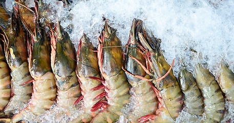 Image showing tiger prawns