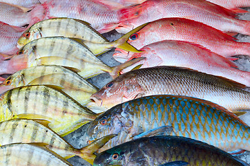 Image showing fresh fish