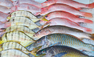 Image showing fresh fish