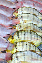 Image showing fresh fish