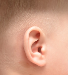 Image showing baby ear