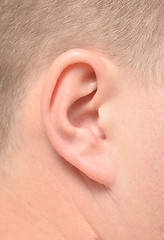 Image showing male ear