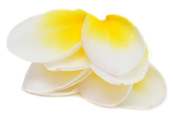 Image showing plumeria