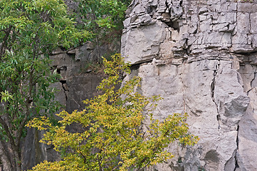 Image showing Rocks along Niagara river, Ontario Canada