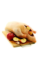 Image showing Raw duck with apples.