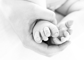 Image showing baby feet