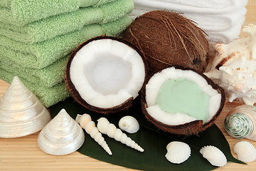 Image showing Tropical Spa Massage