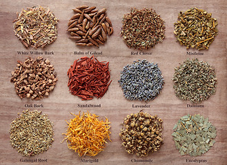 Image showing  Magical and Medicinal Herbs