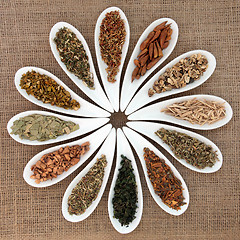 Image showing Magical and Mediicinal Herbs