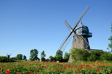 Image showing Windmill with poppy