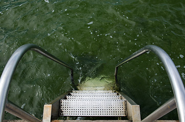 Image showing Steps to the water