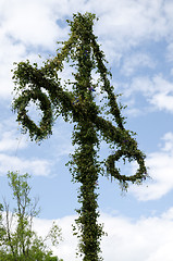 Image showing Midsummer pole