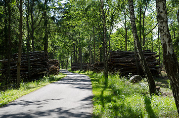 Image showing Timber at road