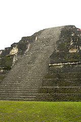 Image showing temple IV tikal