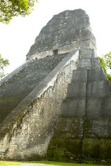 Image showing temple V tikal