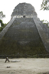 Image showing temple V tikal