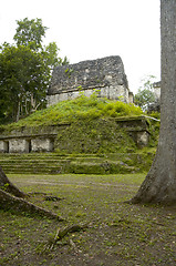Image showing overgrown mayan ruins