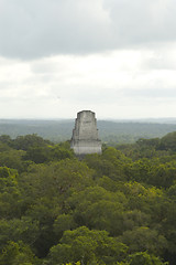 Image showing temple III tikal