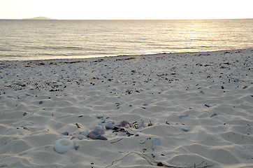 Image showing Beach