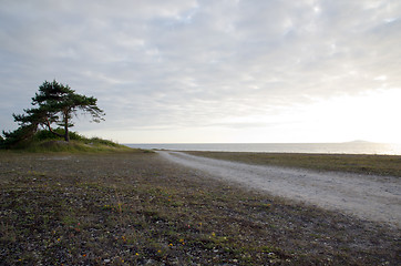 Image showing Road to beach