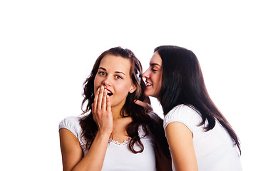 Image showing Two young beautiful women are secretive is isolated on white