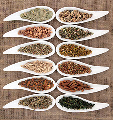 Image showing Magical and Mediicinal Herbs  