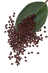 Image showing Coffee Beans