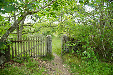 Image showing Old wooden gate