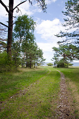 Image showing Road to beach