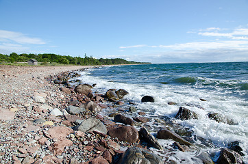 Image showing Coastline