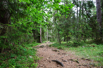 Image showing Footpath