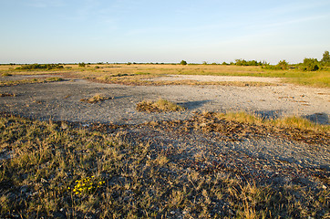 Image showing Plain landscape