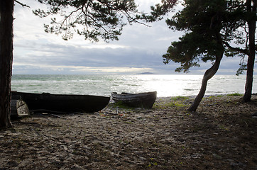 Image showing Rowing boats