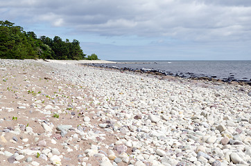 Image showing Coast