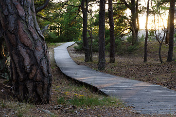 Image showing Beach path