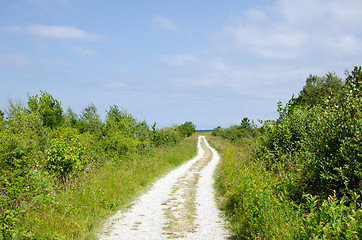 Image showing Country road