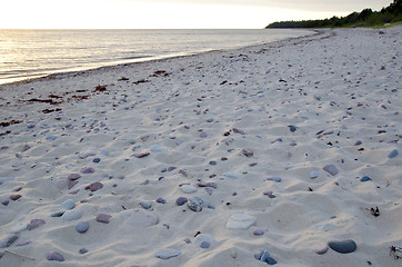 Image showing Beach