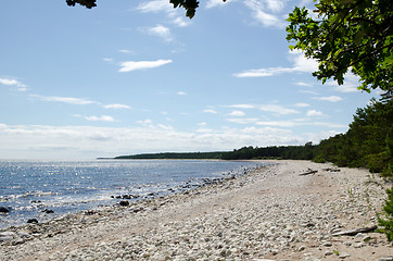 Image showing coast