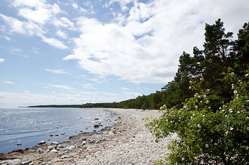 Image showing Glittering water