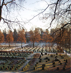 Image showing Churchyard