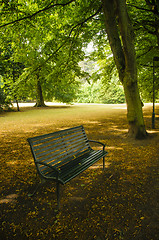 Image showing Empty bench in a park