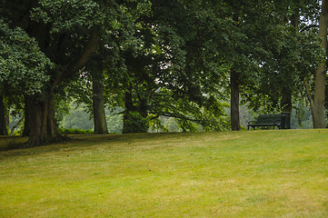 Image showing Empty bench in a park