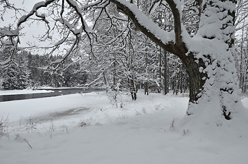 Image showing River in winter