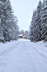 Image showing Country road