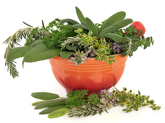 Image showing Fresh Herbs