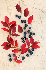 Image showing Blueberry Fruit