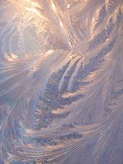 Image showing Ice pattern and sunlight on winter glass