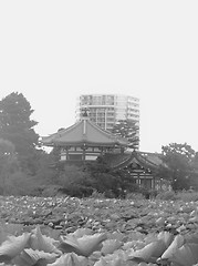 Image showing Architectural detail of Tokyo, Black and White view