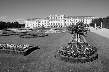 Image showing Gardens and Flowers inside Schonbrunn Castle