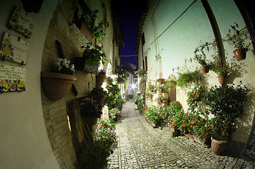 Image showing Ancient Architecture of Spello in Umbria